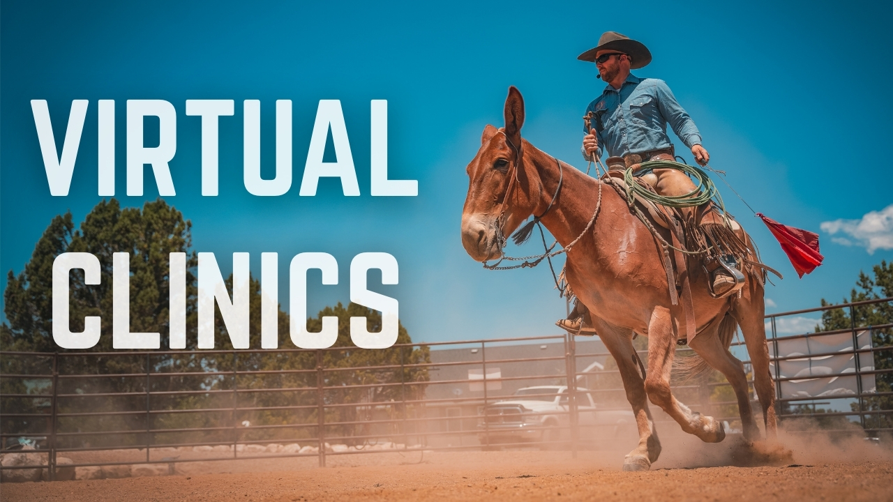 Past Virtual Clinics With Guests