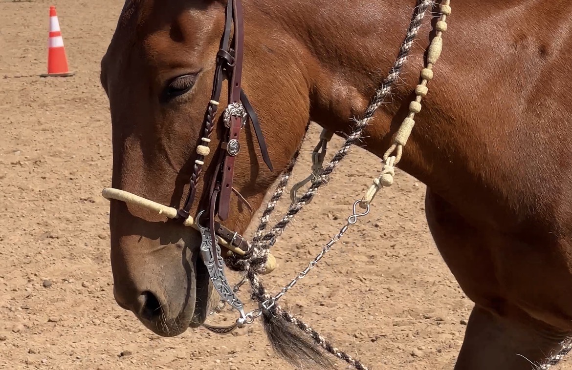 Two-Rein Talk