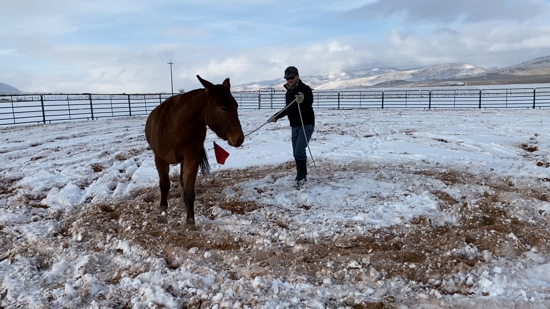 Week 1- Clearing the Front & Centered Circles