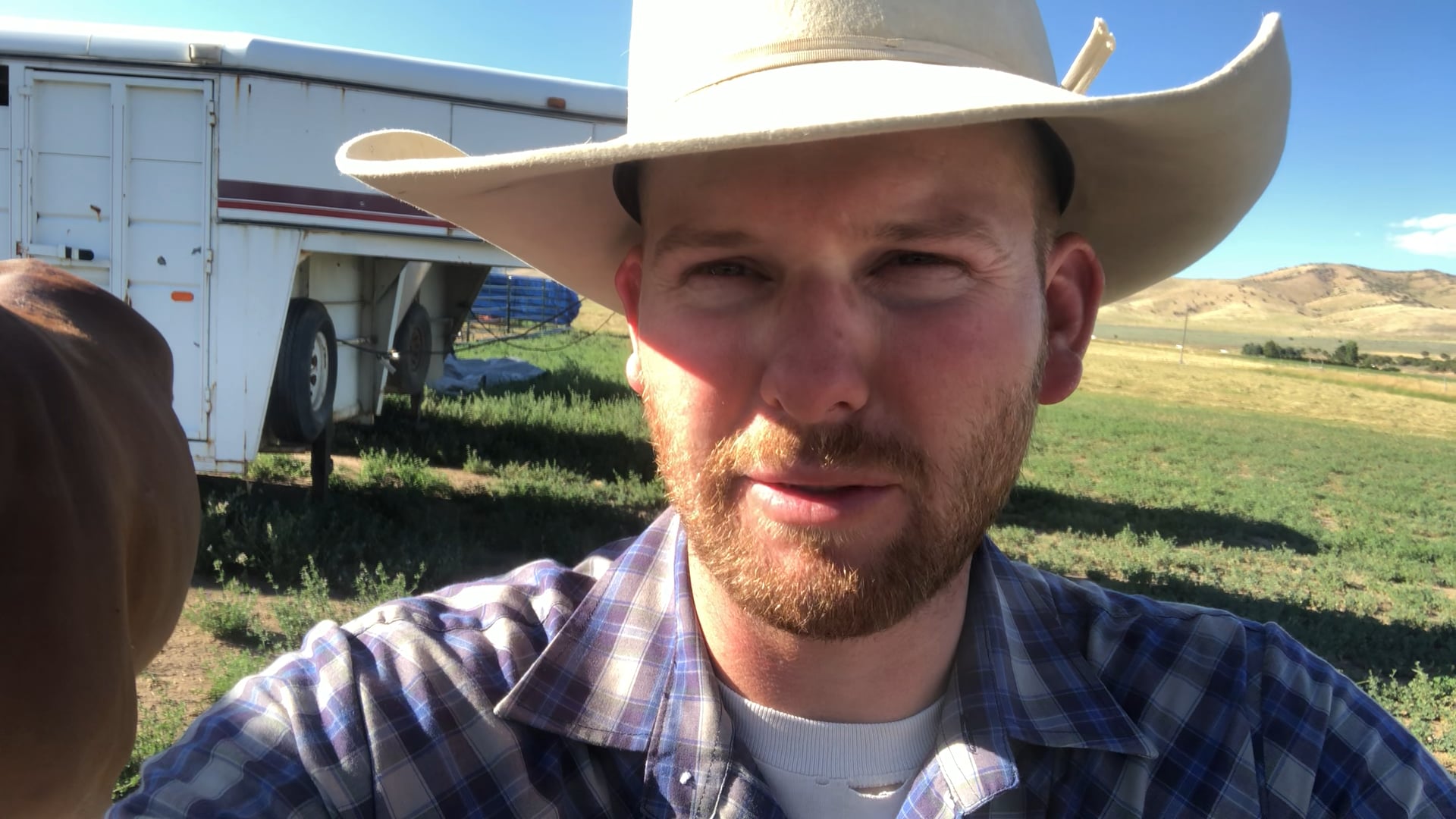 Take Care of Your Mulemanship and Your Mule Will Take Care of YOU!