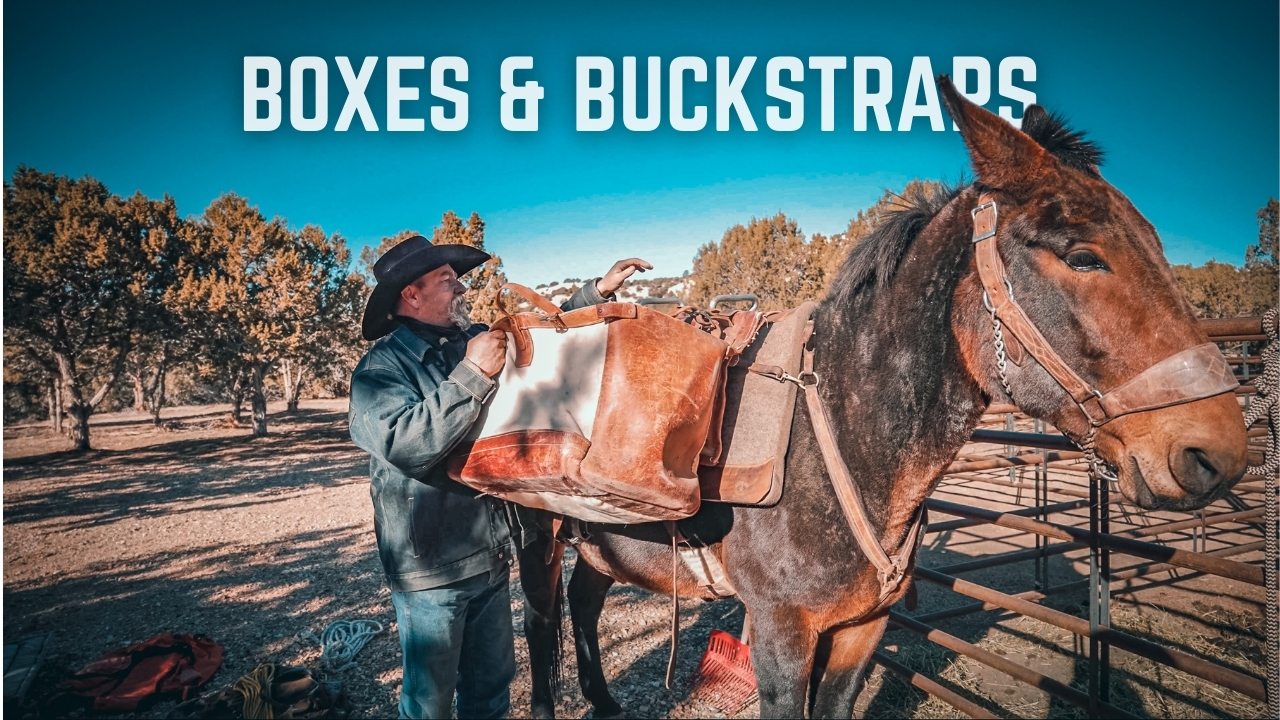 How To Load Pack Boxes