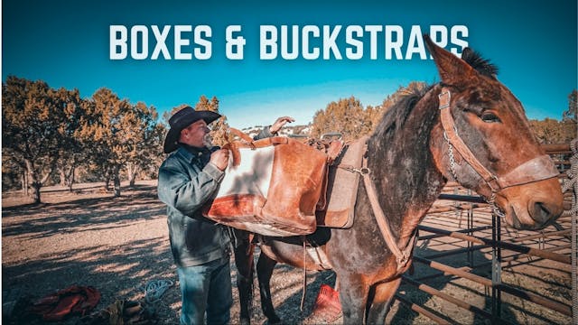 How To Load Pack Boxes