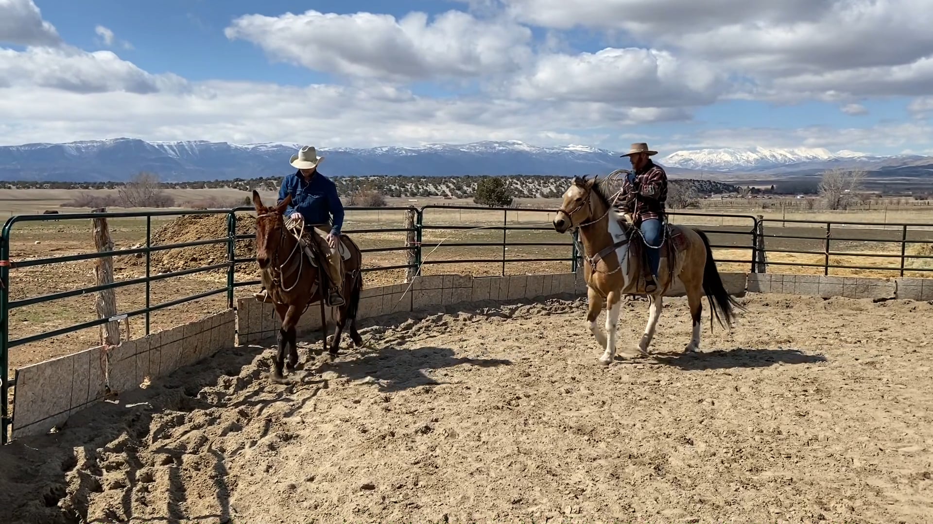 Dally’s Fourth Ride