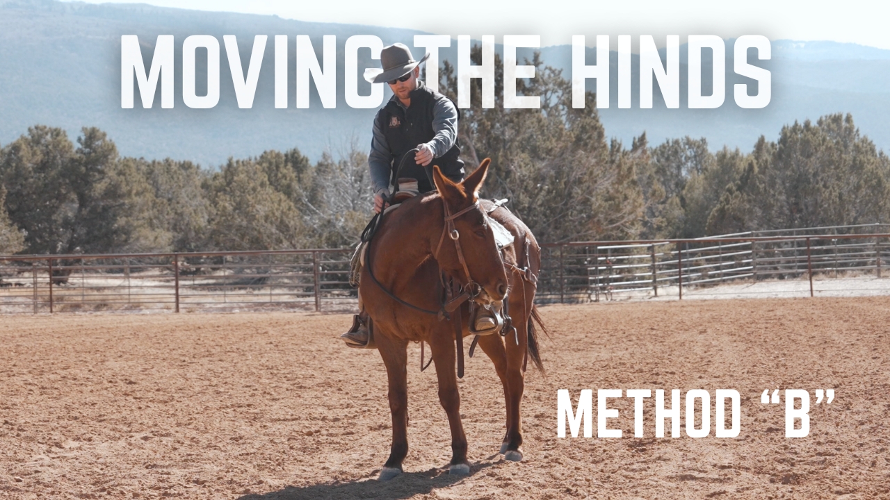 Method "B" of Moving The Hinds