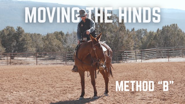 Method "B" of Moving The Hinds