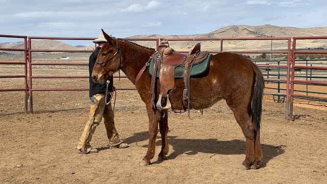 Hannah 1st Ride