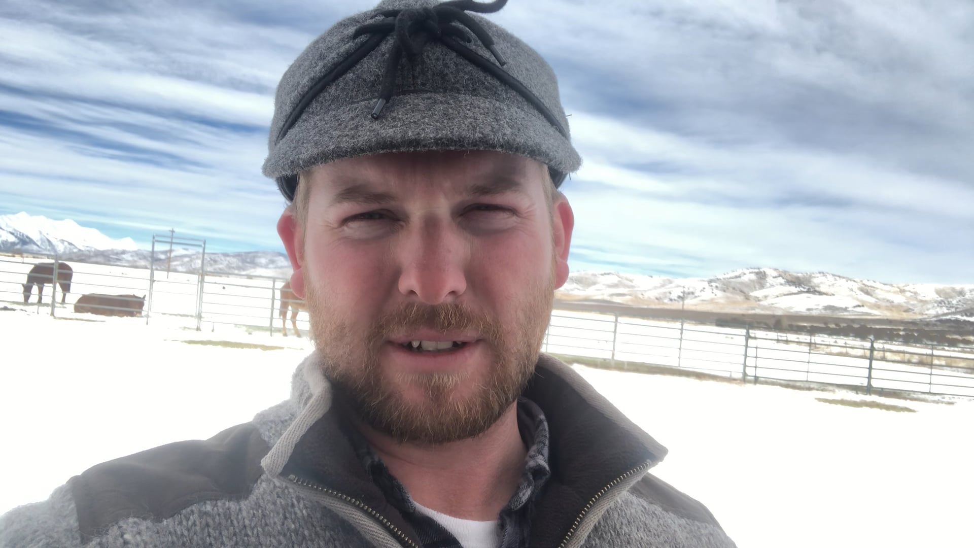 Everyday Mulemanship Challenge Week #1 “Commit!”