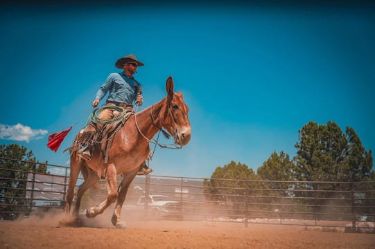 Ty Evans Video Library Subscription