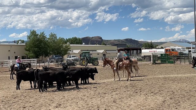 Gunnison Cow Working 2023