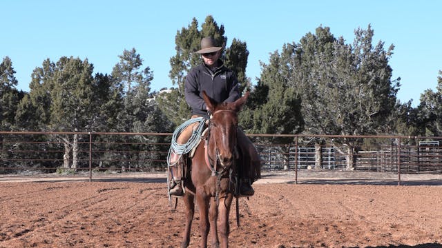 Reaching Exercise #3