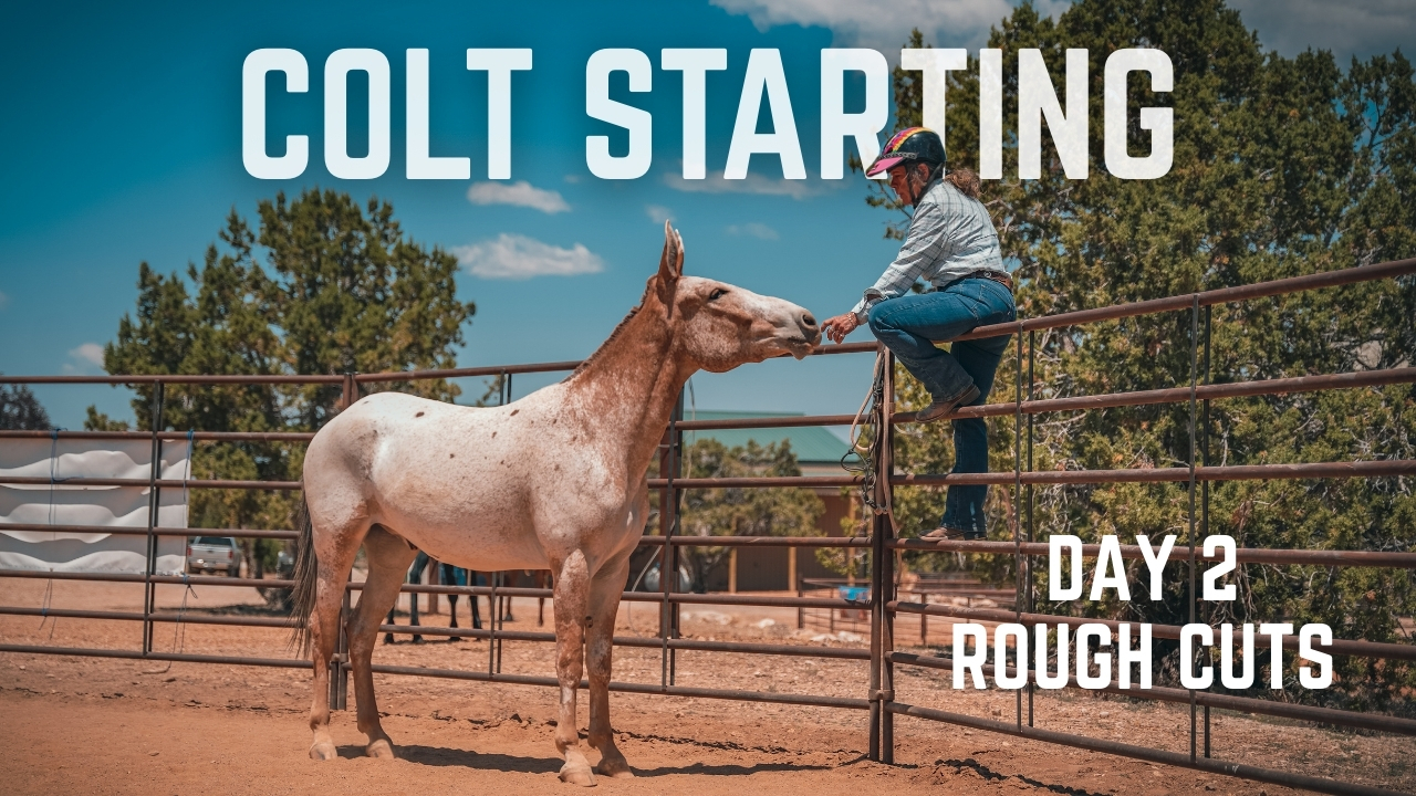 2025 Colt Starting Clinic Day 2 Rough Cuts