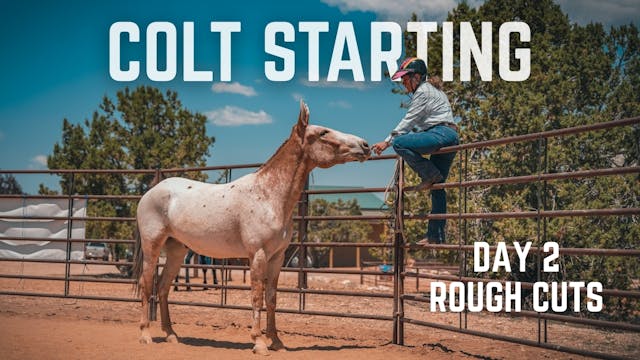 2025 Colt Starting Clinic Day 2 Rough...