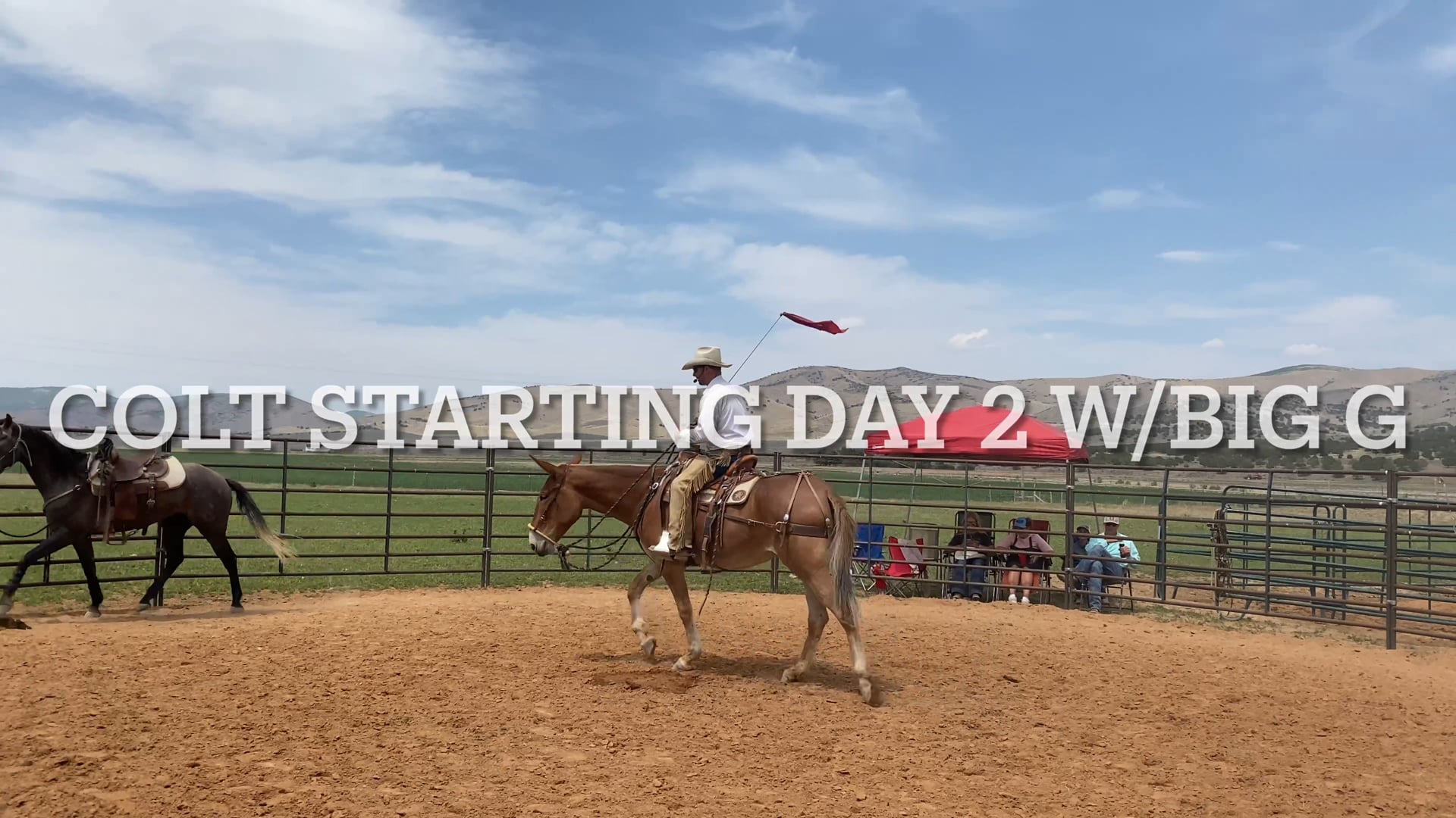 Colt Starting Day 2 with Big G Horse
