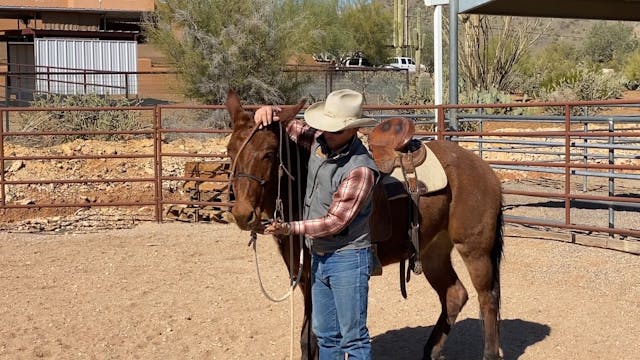 Week 9 Intro to Ground Driving