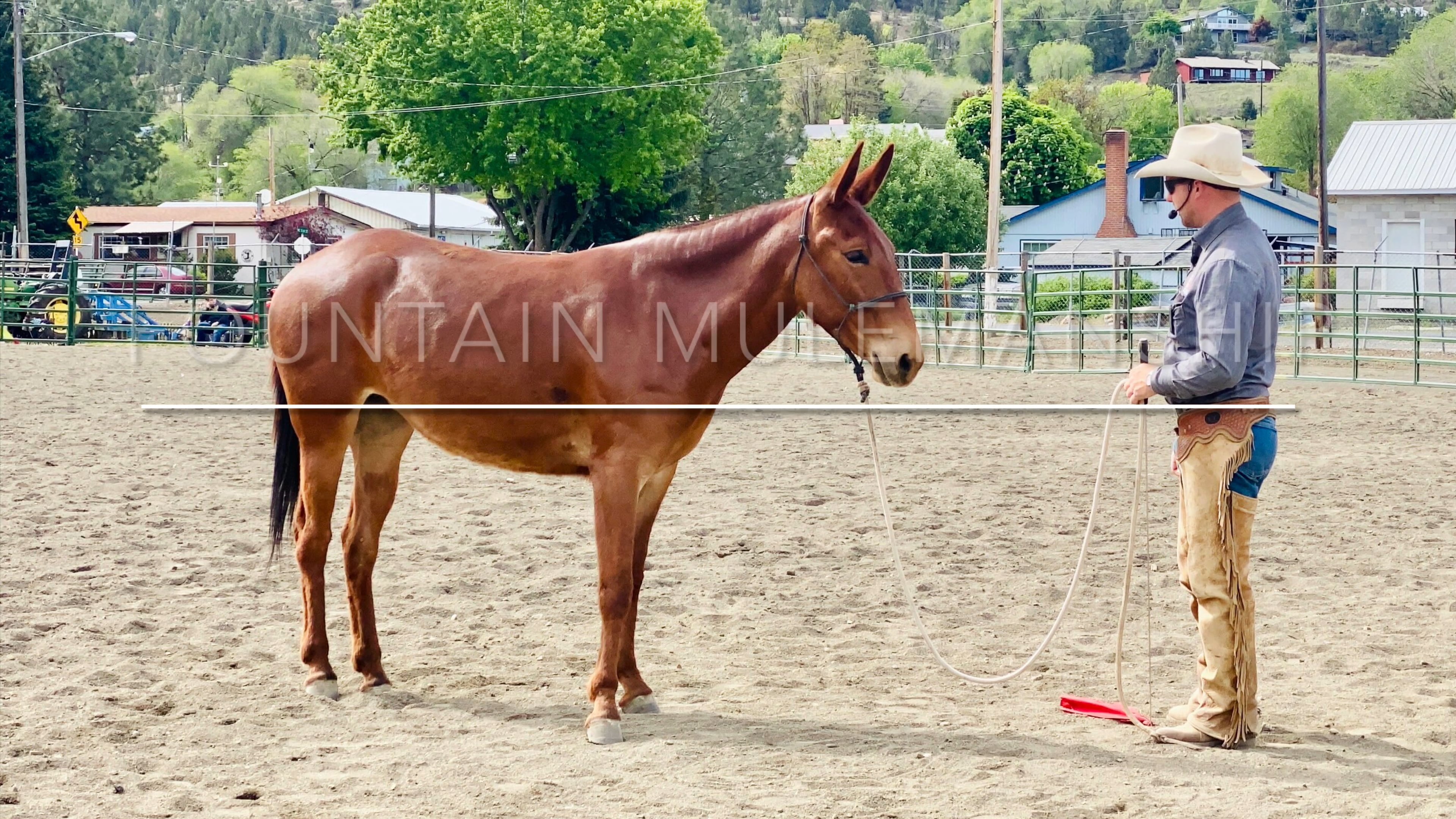 Foundation Mulemanship John Day, OR Clinic 2021