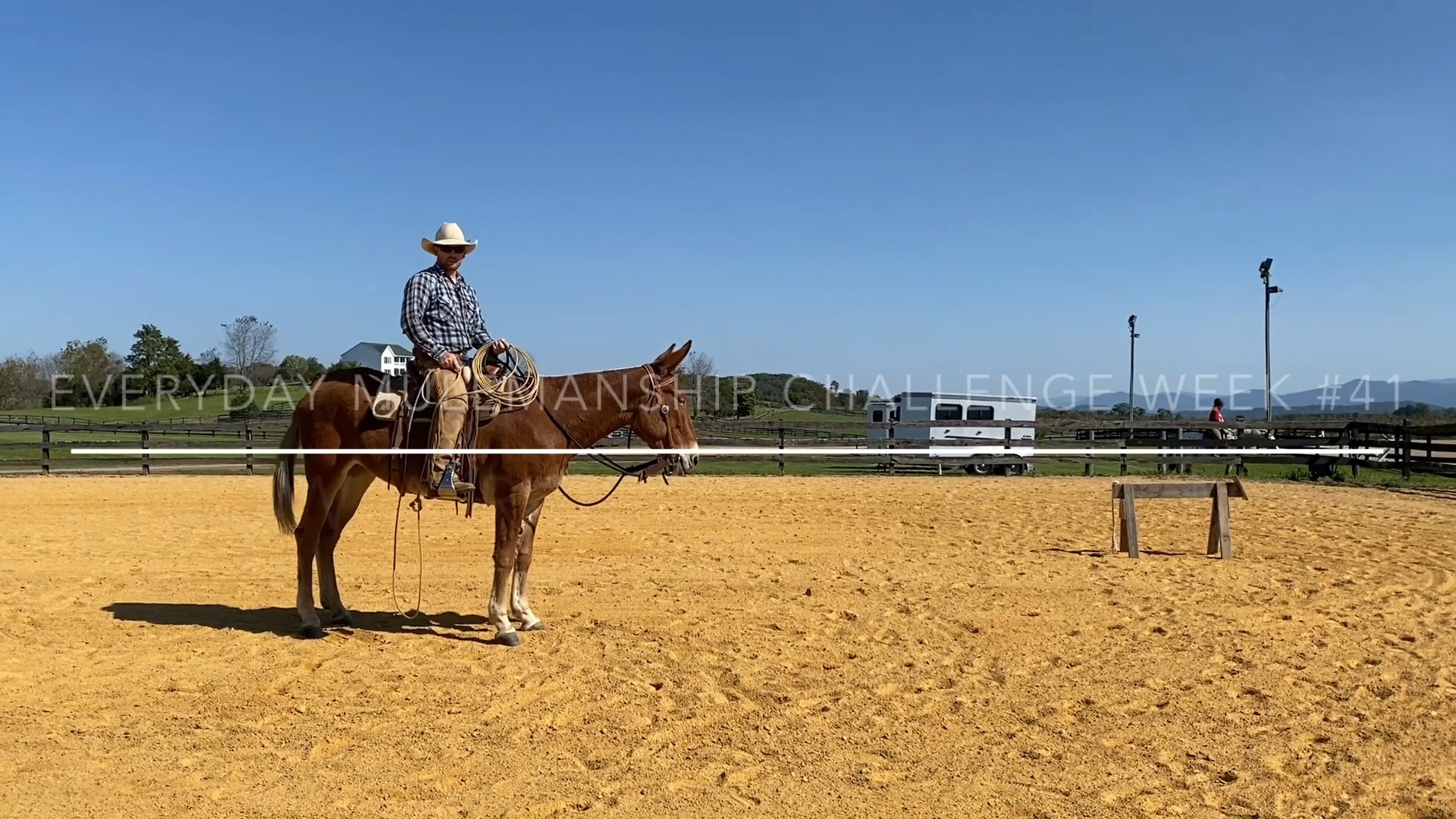 Everyday Mulemanship Challenge Week #41 “Throw a rope off your mule”