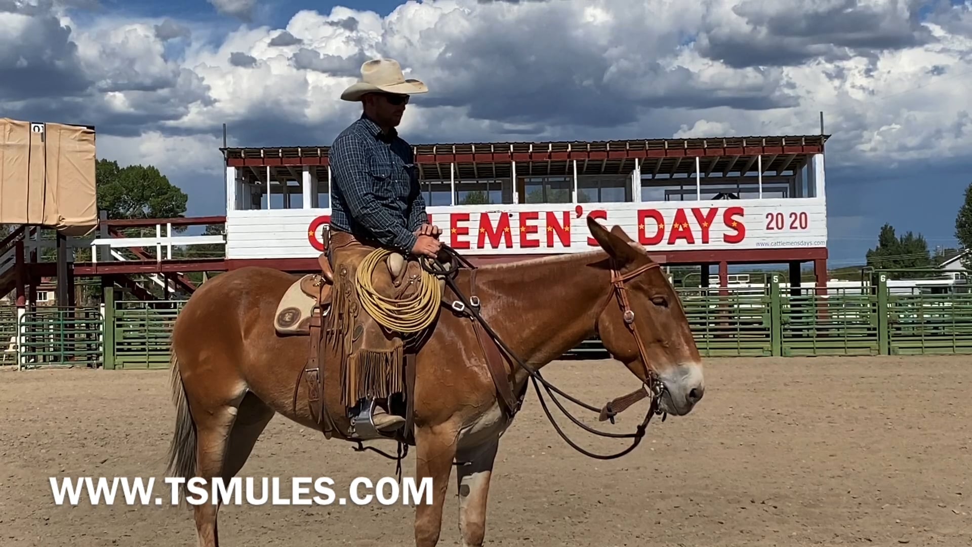 Everyday Mulemanship Challenge Week #28 “Simple Lead Changes”