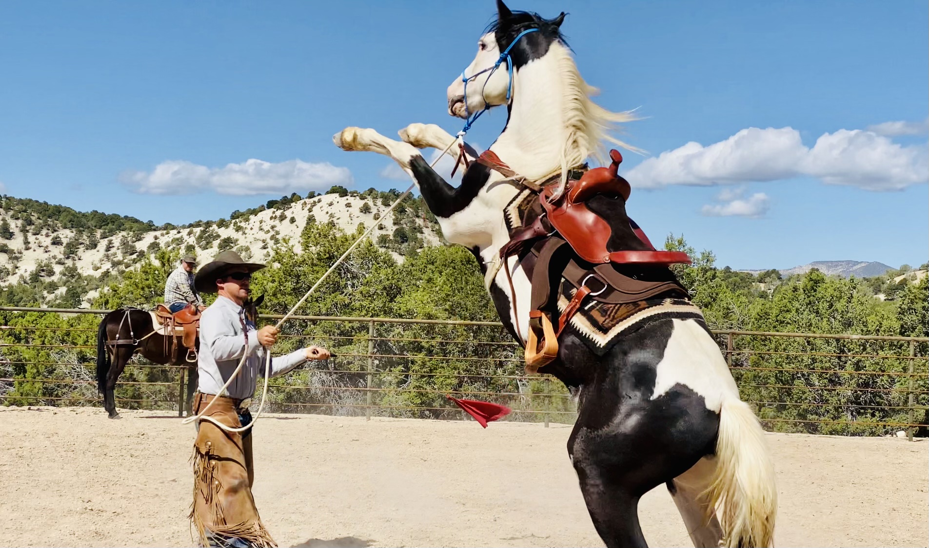 Ty Evans Colt Starting Clinic 2022