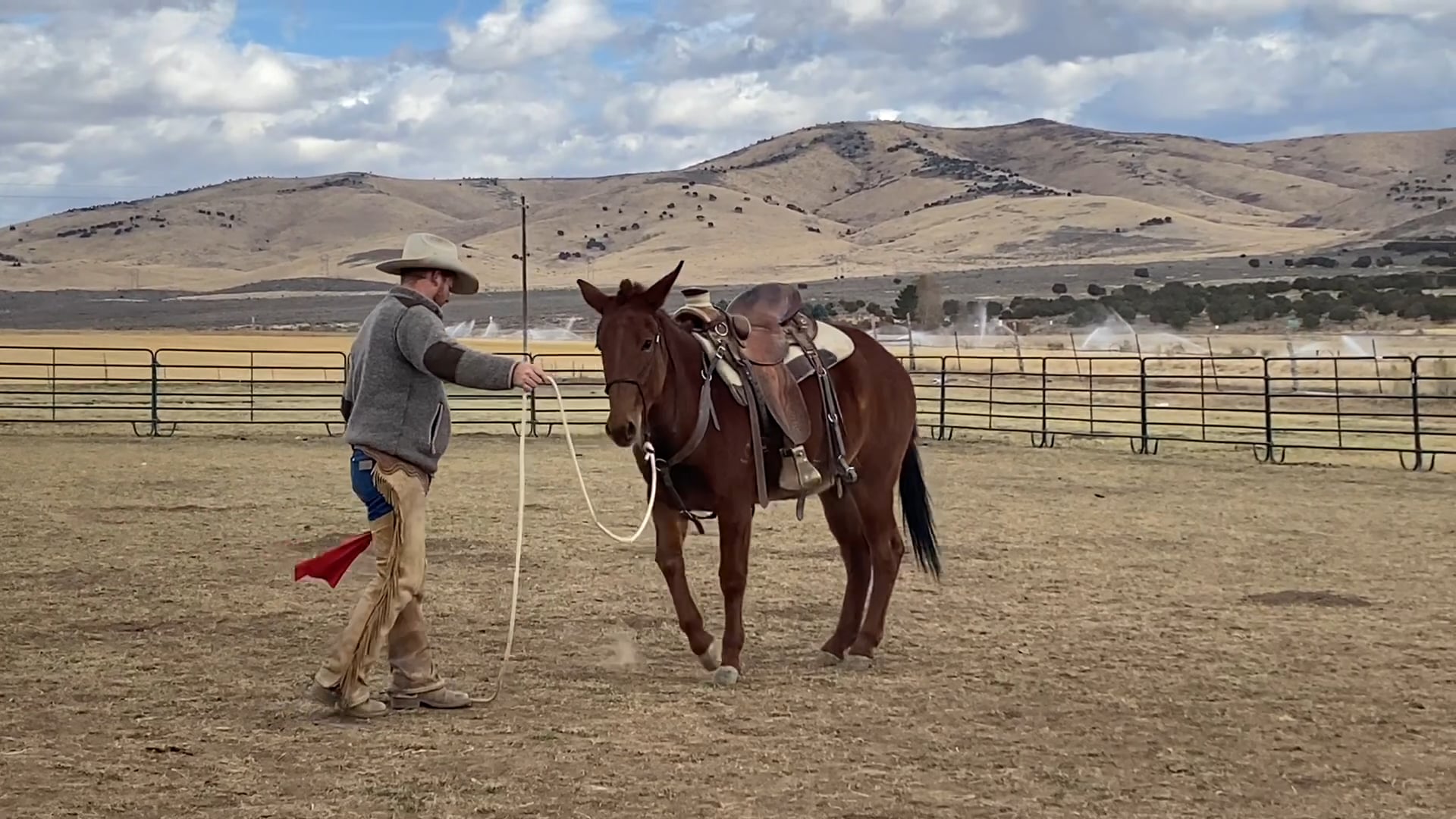 Reading Expression and Noticing Details Through Groundwork 