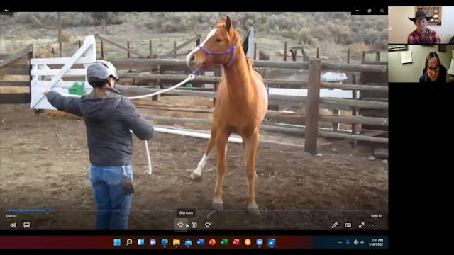 Lorna Christopherson Virtual Clinic- ...