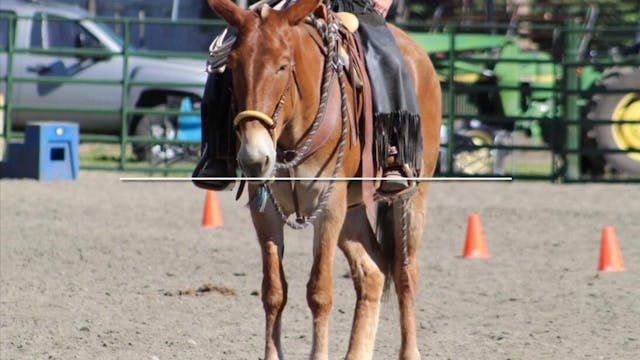 Mulemanship 1 John Day, OR Clinic 2021