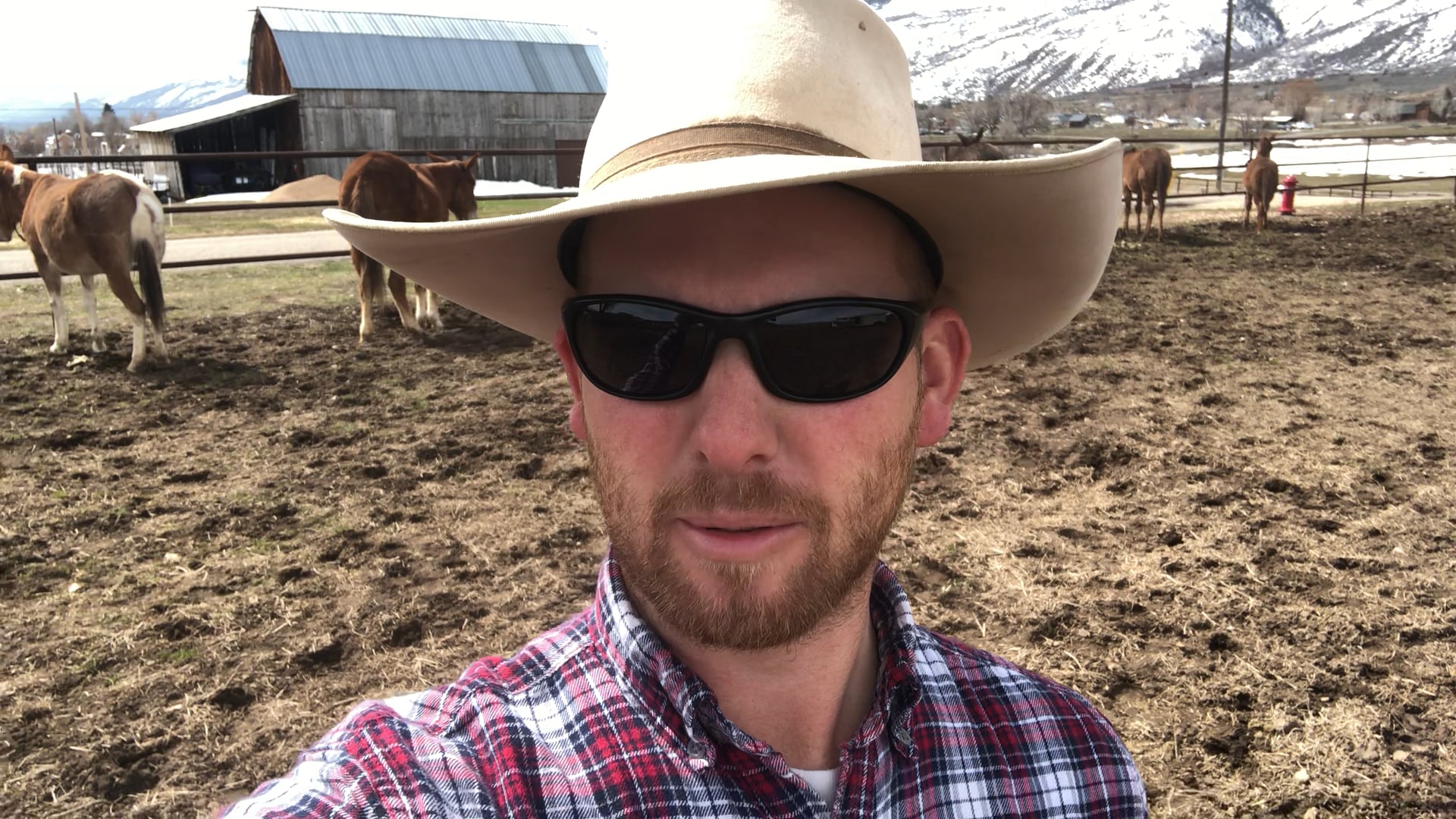 Methods and Processes 