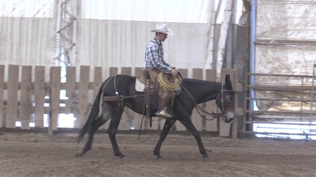In the Saddle DVD 2 Part 3 "Speed Con...