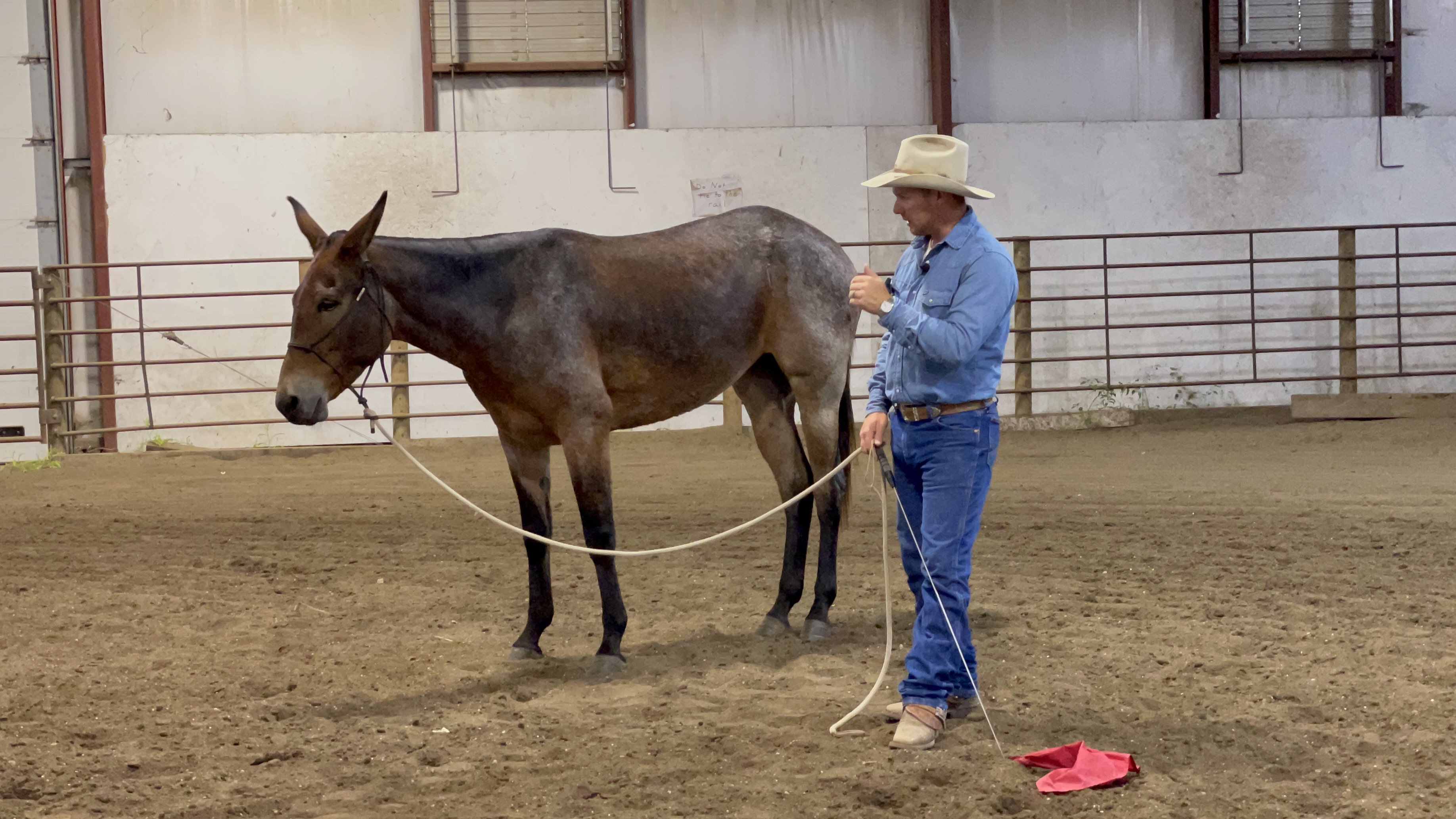 The Ground Work Checklist With "Bella"