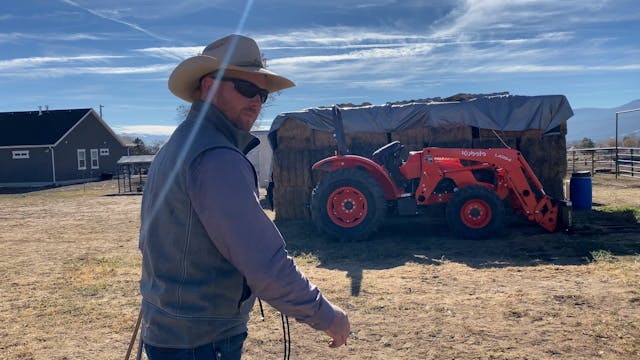 Check On Your Mules Every Day