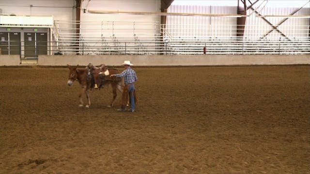 Mulemanship In The Saddle- Full Lengt...