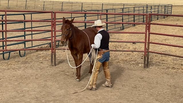 Rope work with 2 year old “Hannah”