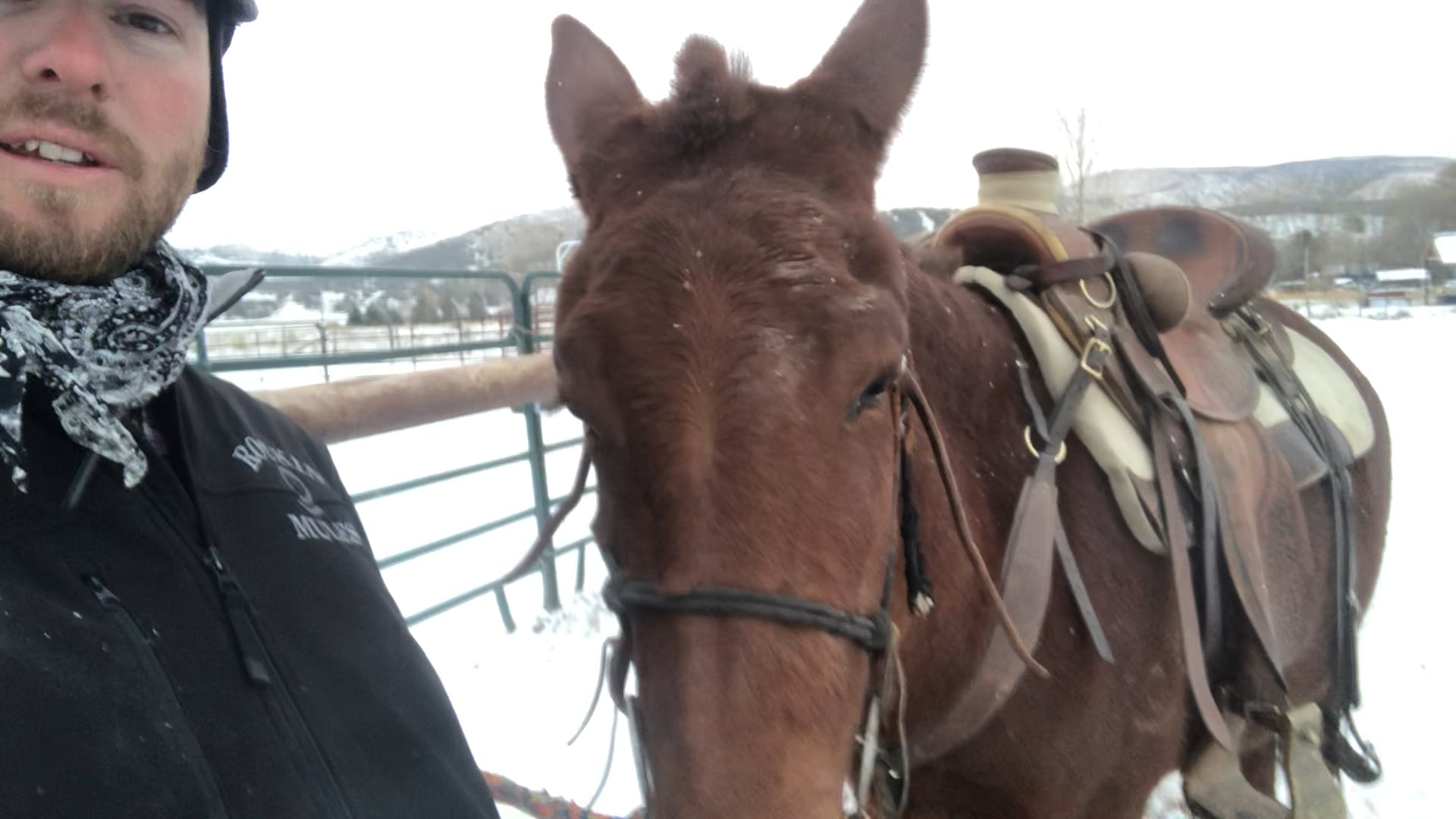 First Time Wearing the Snaffle Bit