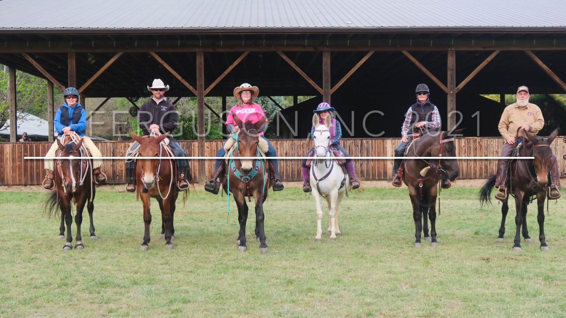Ferguson, NC Mulemanship 2 