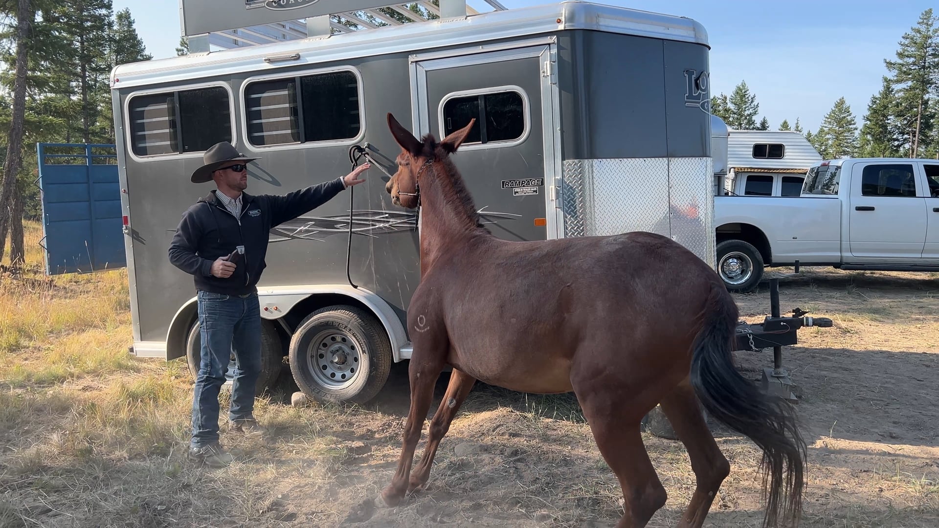 Spin aka Squirrel Scared of Clippers