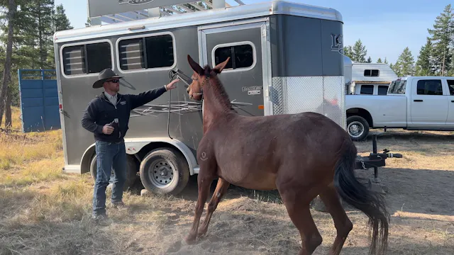 Spin aka Squirrel Scared of Clippers