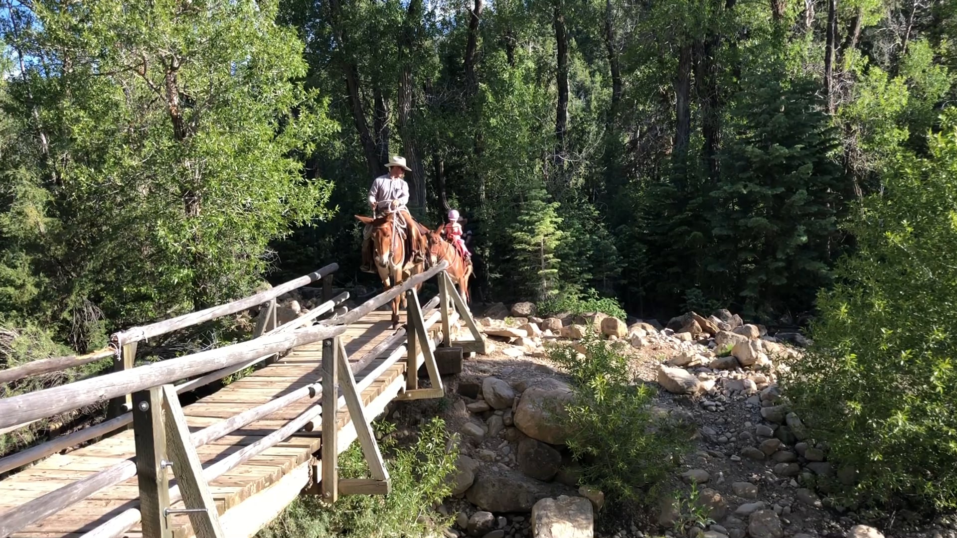 Everyday Mulemanship Challenge Week #34 “Try an obstacle”