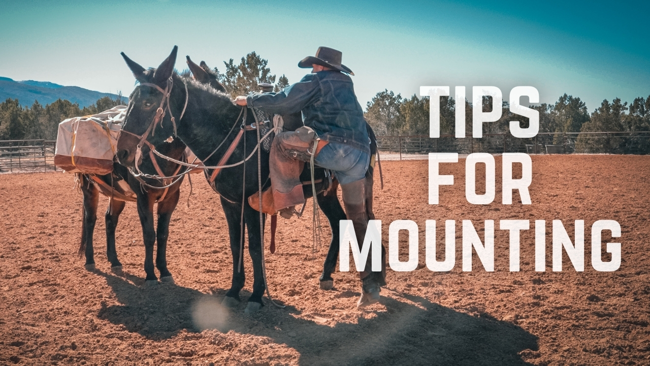 Tips For Mounting And Leaving A Trailhead With Your Pack String