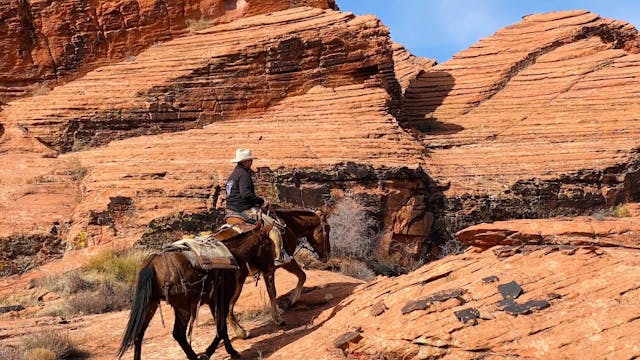 BONUS! Ponying Dally Out on the Trail