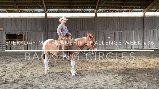 Everyday Mulemanship Challenge Week #...