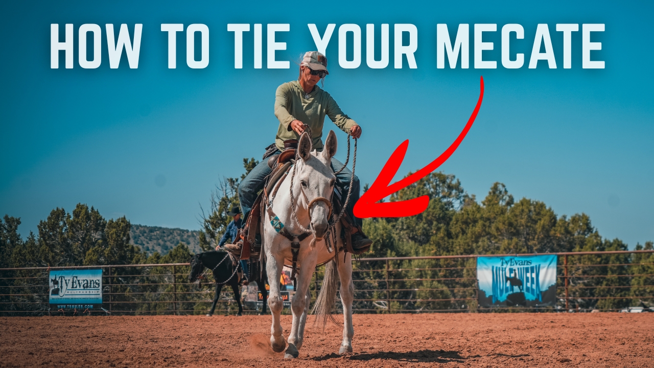 How To Tie A Mecate On A Bosal (Making a Hackamore)