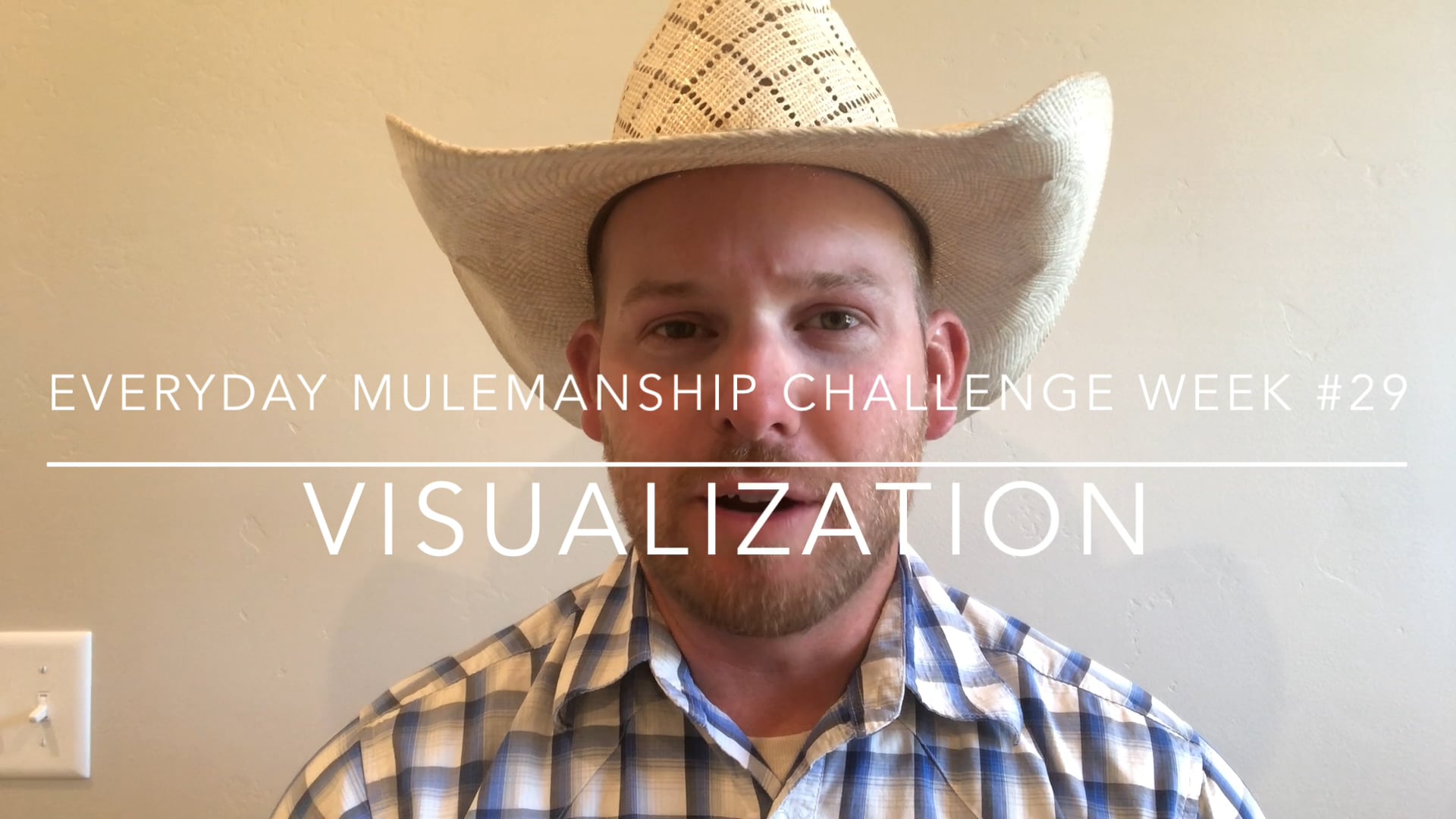 Everyday Mulemanship Challenge Week #29 “Visualization”