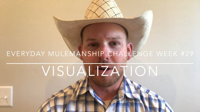 Everyday Mulemanship Challenge Week #...
