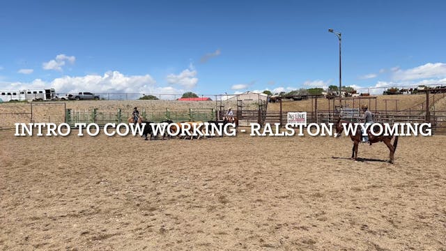 Ralston, WY Cow Working 2024