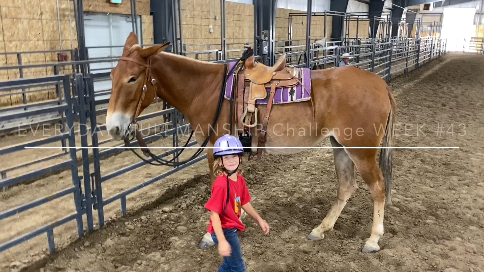 Everyday Mulemanship Challenge Week #43 “Let someone else ride your mule”