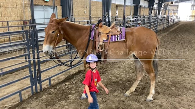 Everyday Mulemanship Challenge Week #...