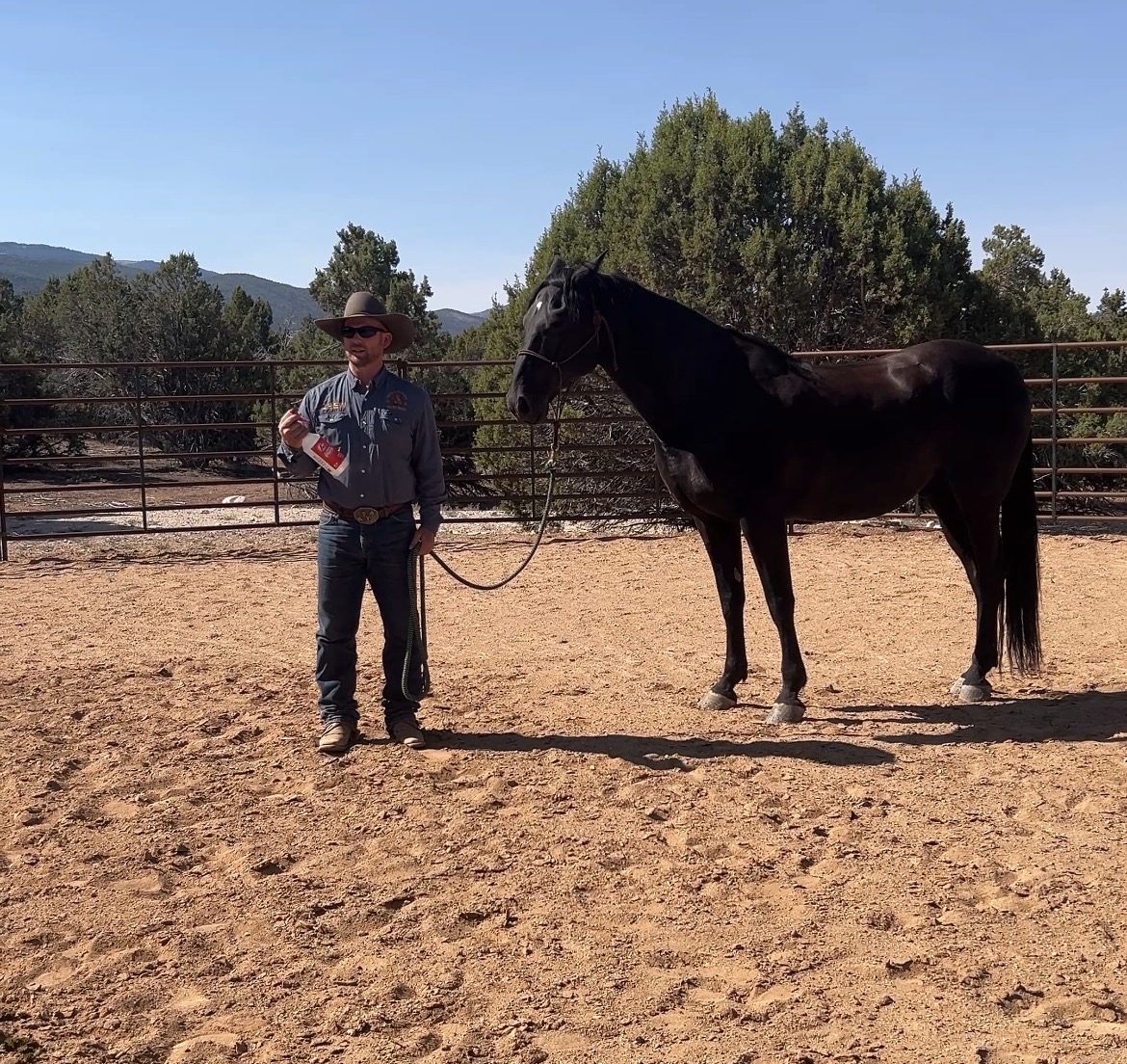Part 1-Fly Spray & Coping Skills