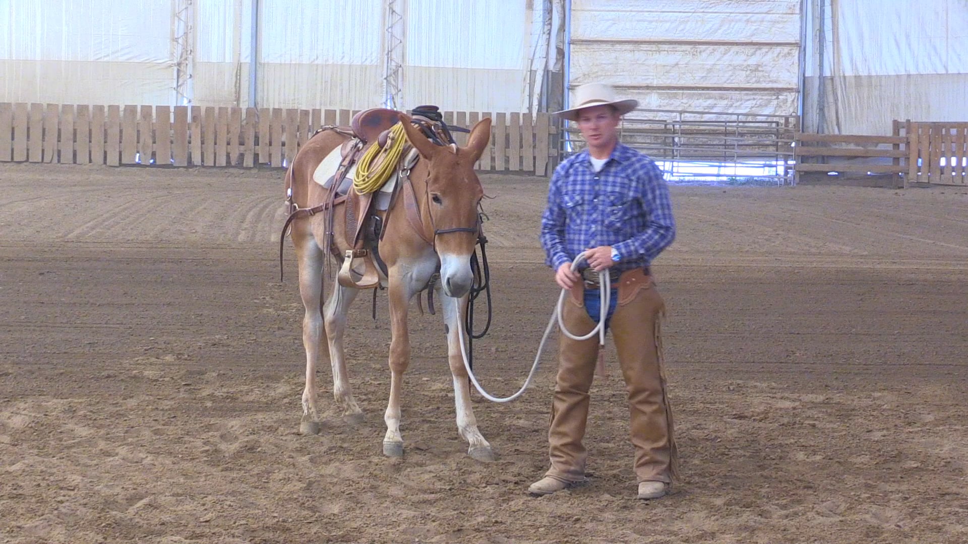 Colt Staring The Next Step Part 2