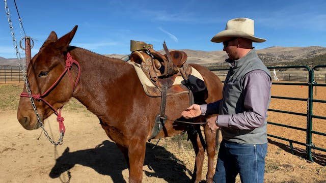 Securing Your Latigo