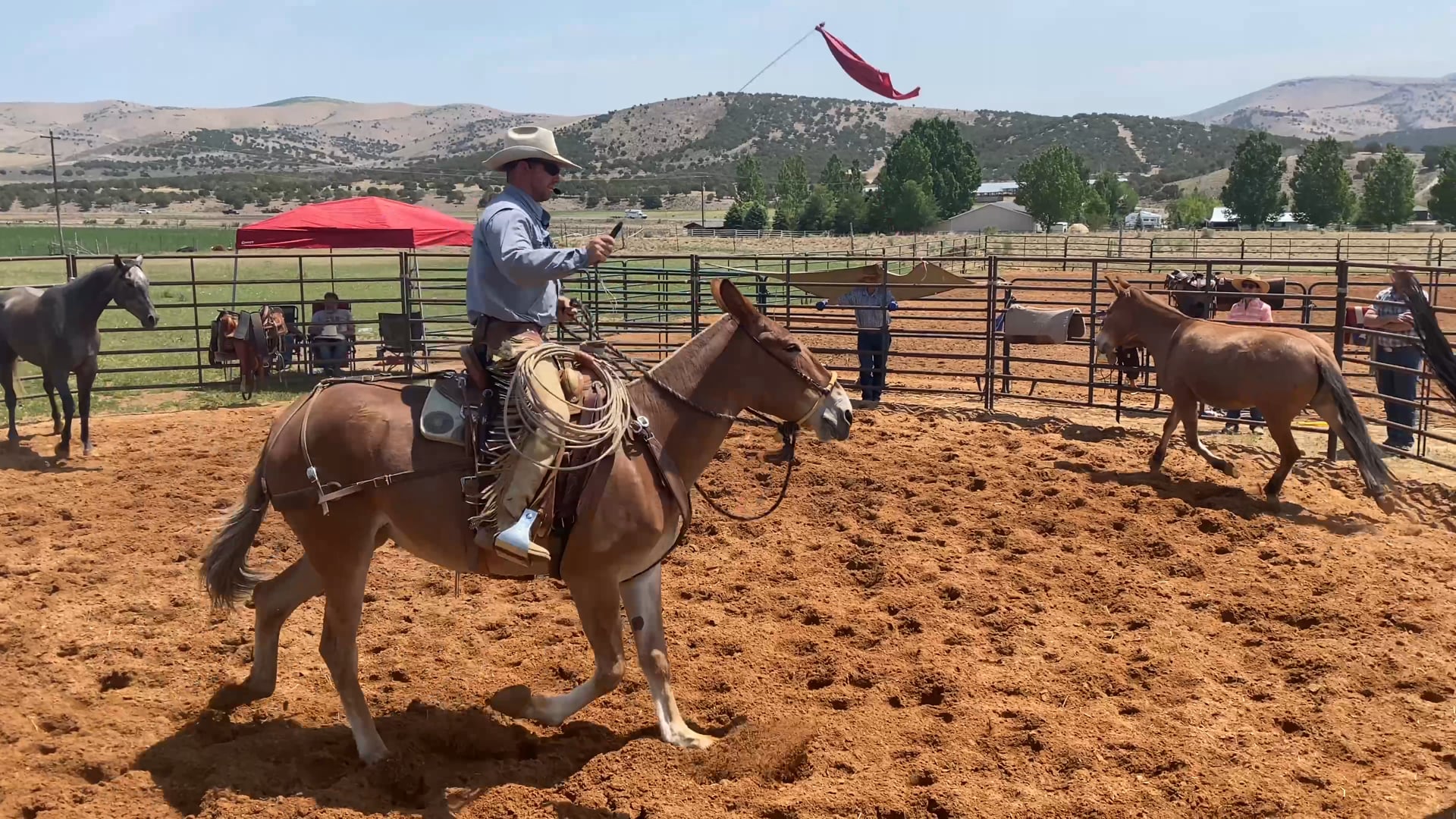 Colt Starting Day 1 PM Session 