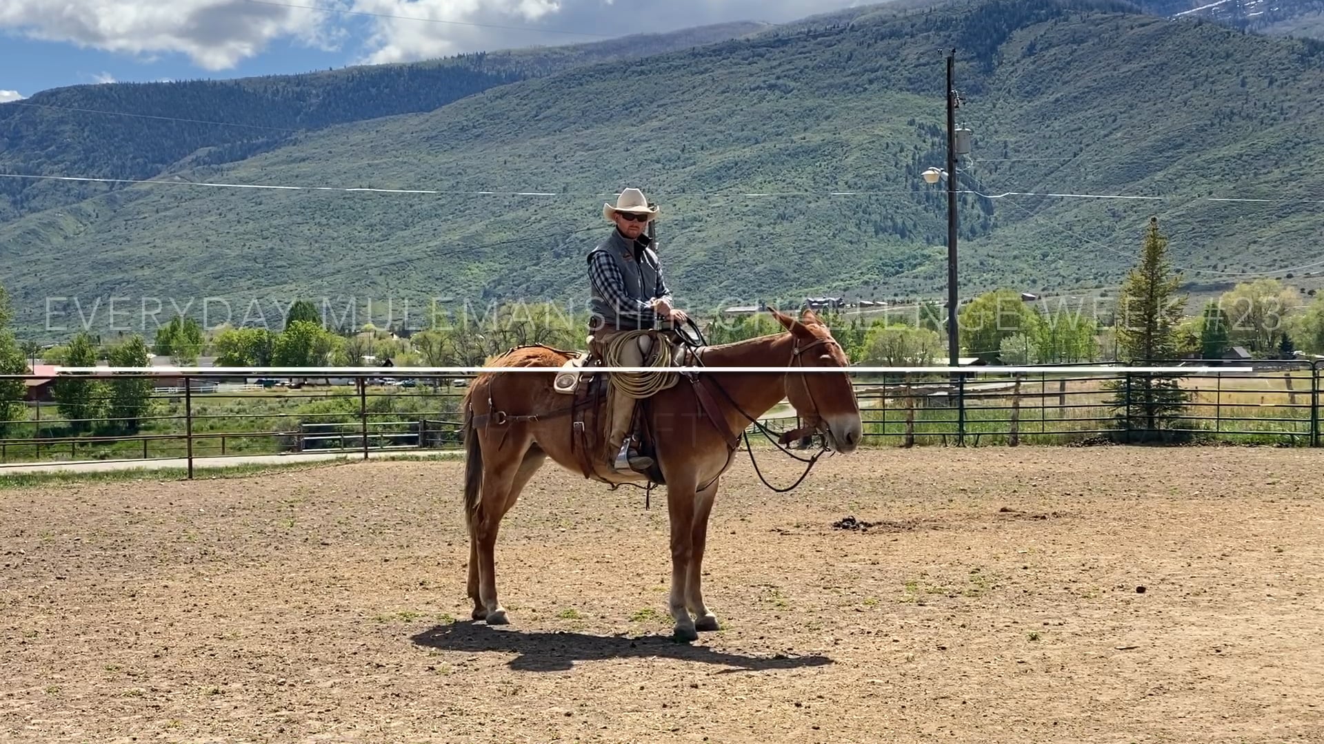 Everyday Mulemanship Challenge Week #23 “Pick up a soft-feel while moving”